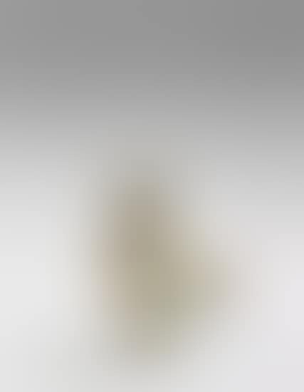 Chouette (Wood-Owl) (preview)