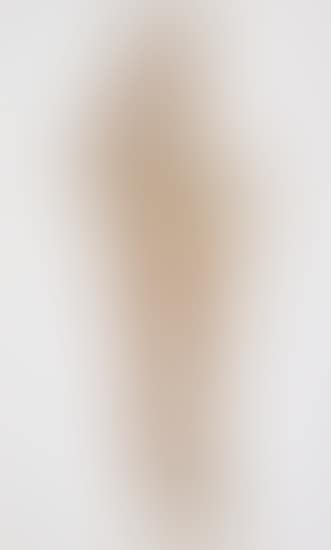 Robbe (Seal) (preview)