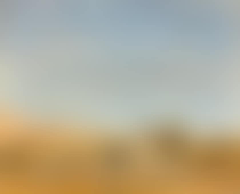 Camp in the Sahara (preview)