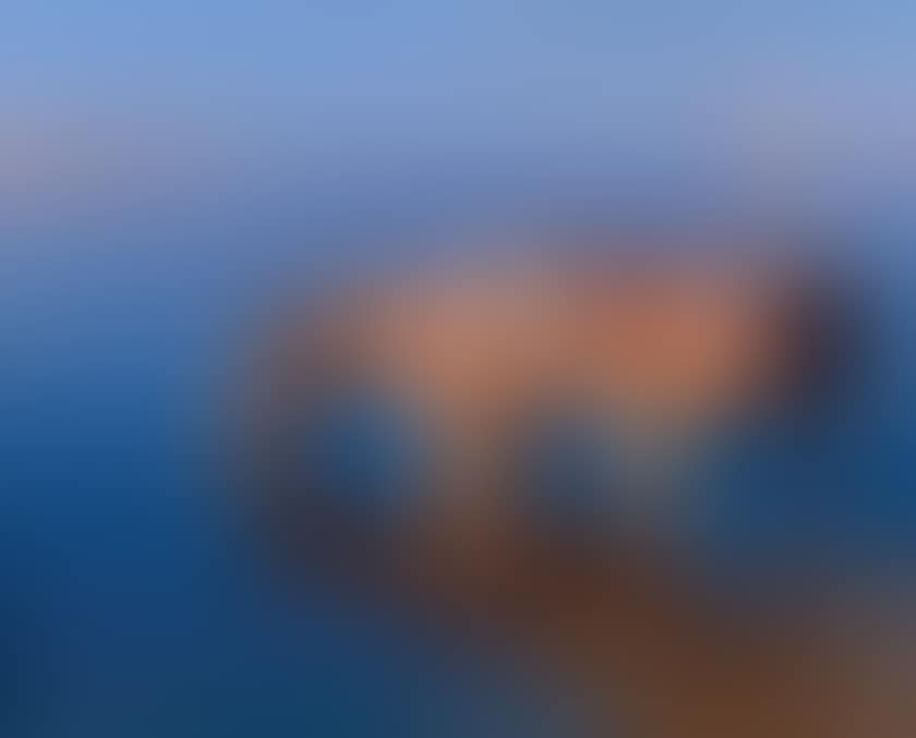 The Nile at Luxor (preview)