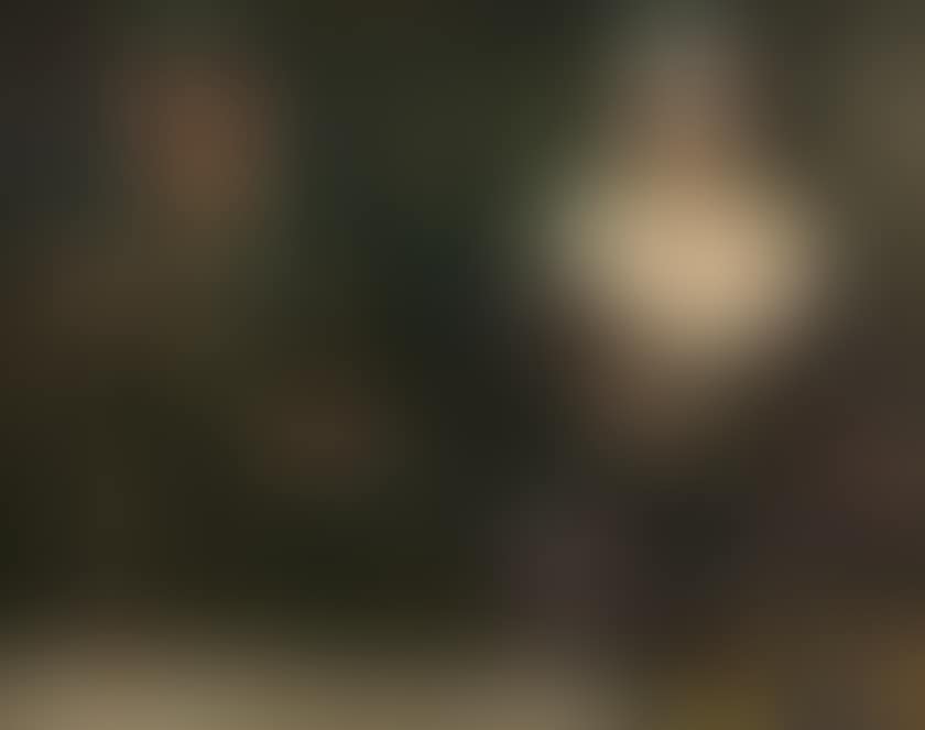 At the Harem (preview)