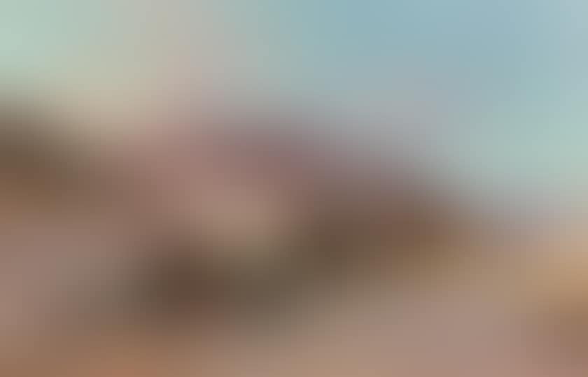 A caravan in the desert (preview)