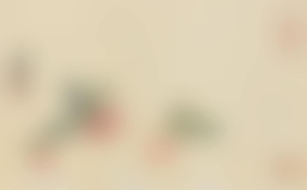 Radishes (preview)