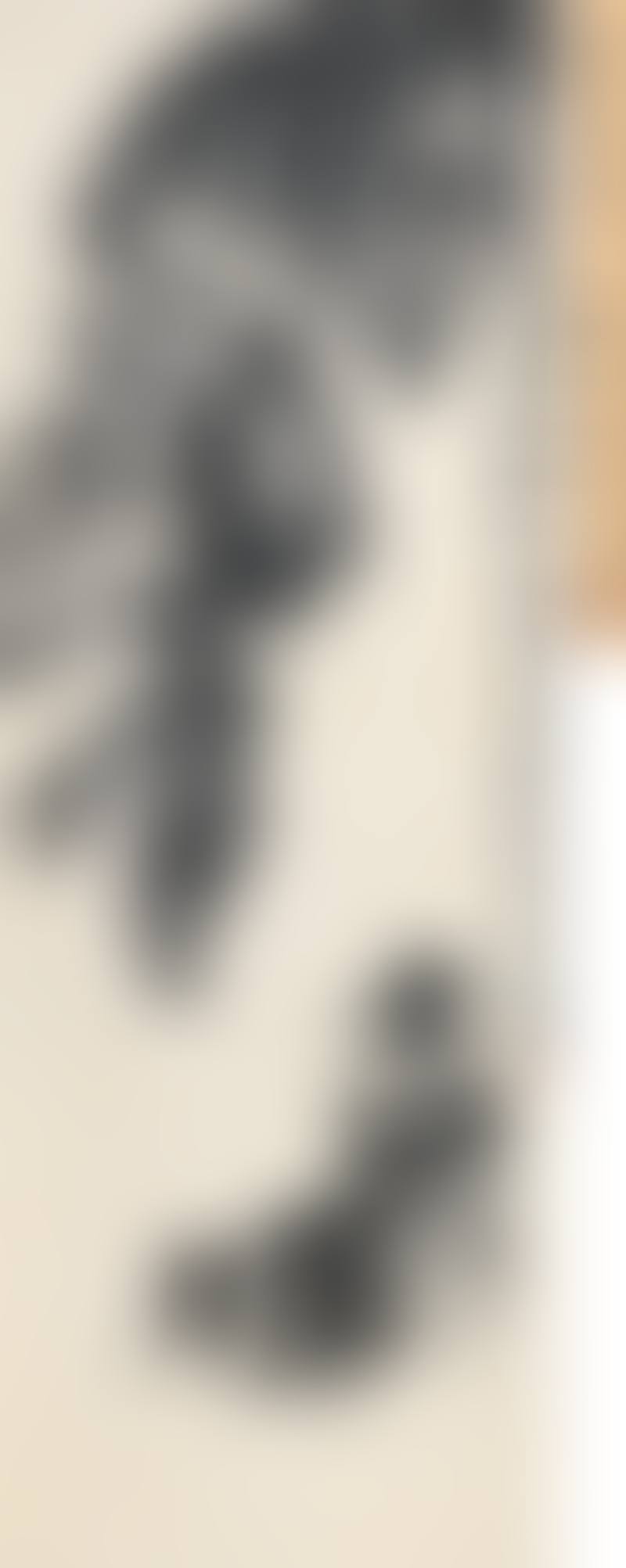 Birds And Trees (preview)