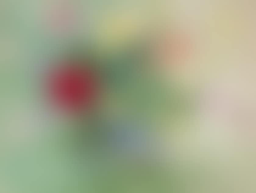 Bouquet of roses and daisies (preview)