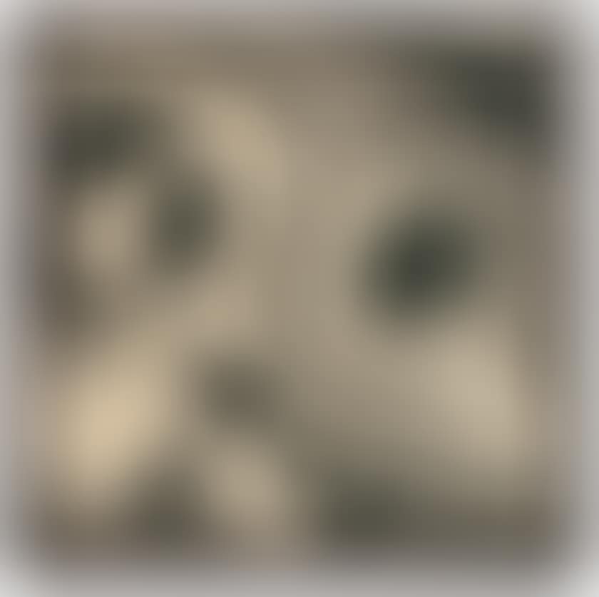 HARNACHEMENT (preview)