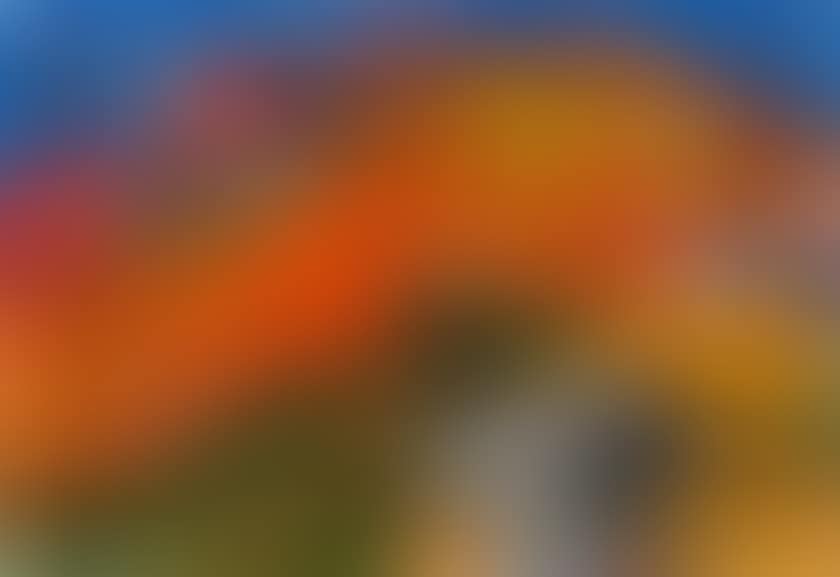Provencal landscape (preview)