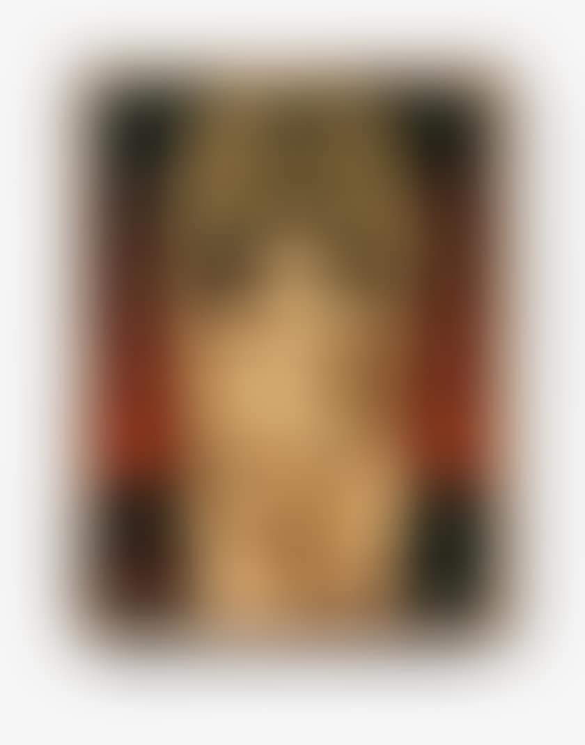 Protestor (preview)