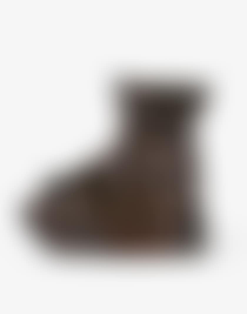 Stella (preview)