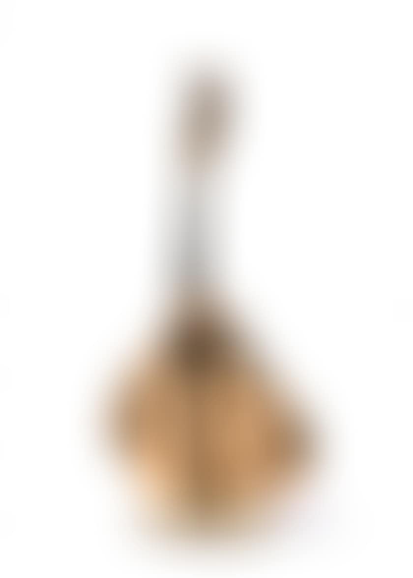 Portuguese guitar (preview)