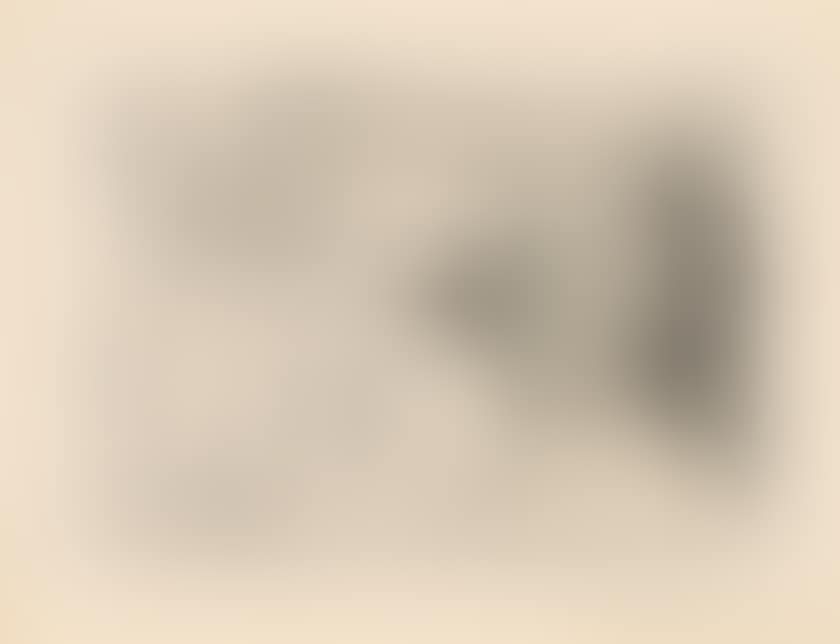 March 5, 1971 (preview)