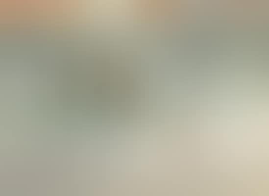 From a Window in Venice (preview)