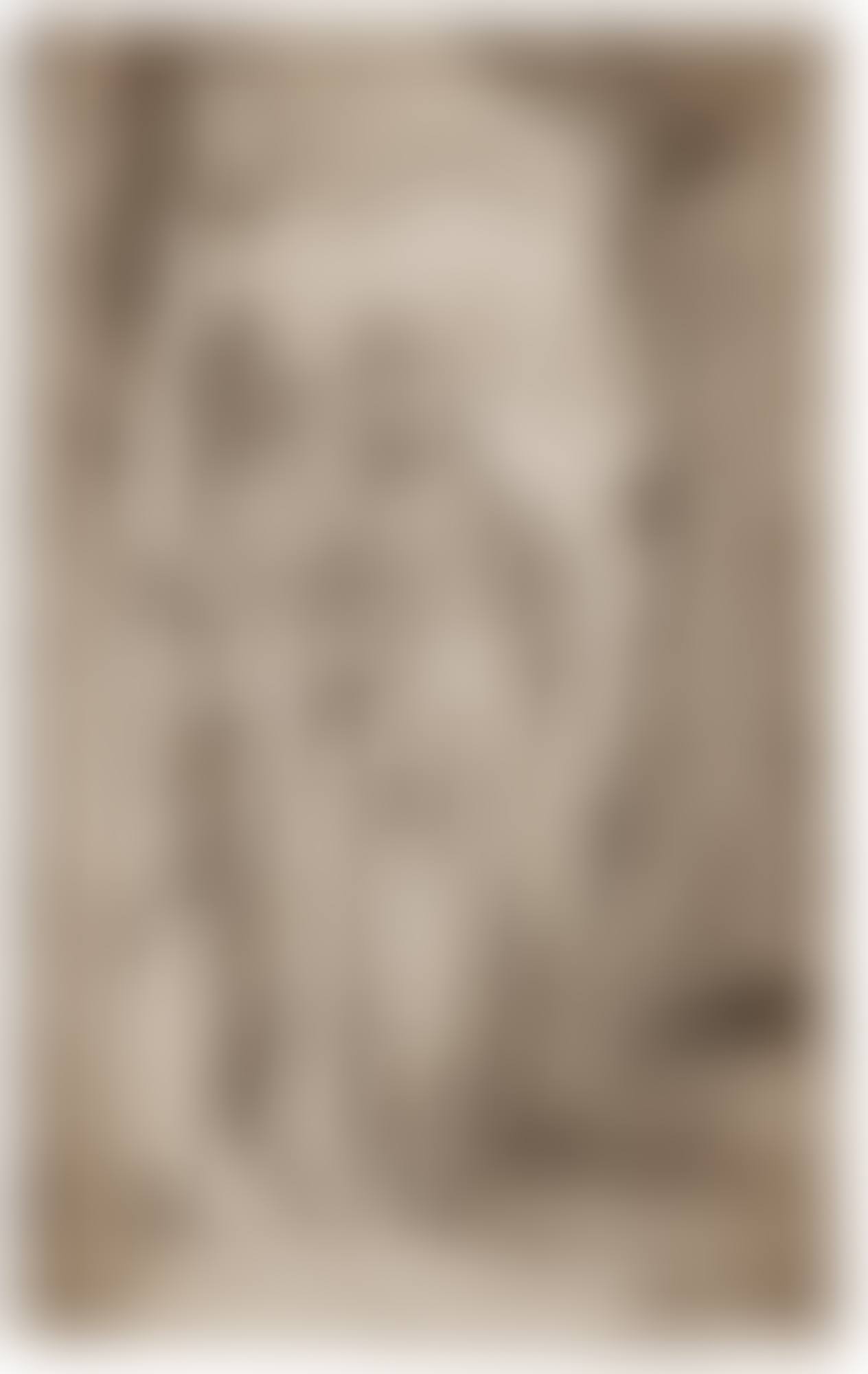 RECTO : VESTAL VIRGINS VERSO : HEAD OF A GIRL (preview)
