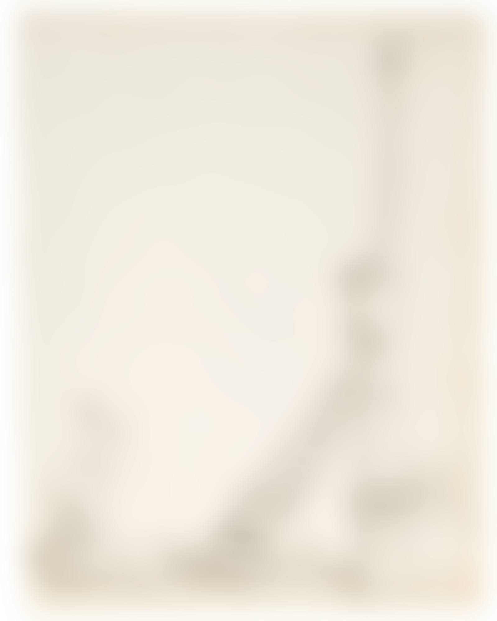 A PEASANT FAMILY BY A BEACON ON A POLE (preview)