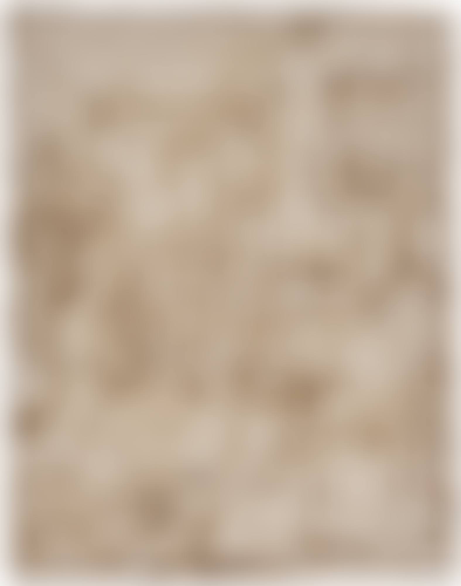 THE PROCURESS (preview)