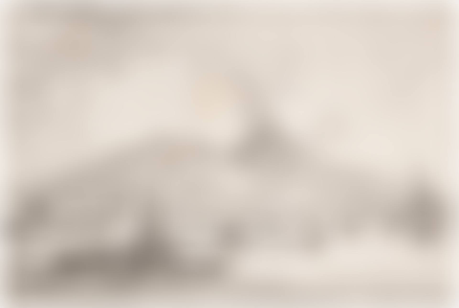 VIEW OF THE PORT OF NAPLES, WITH VESUVIUS IN THE BACKGROUND (preview)