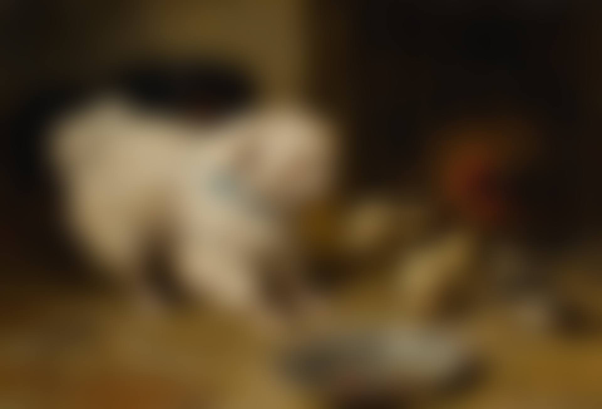 A BICHON FRISE AND A KING CHARLES SPANIEL WITH A HEN AND HER CHICKS  (preview)