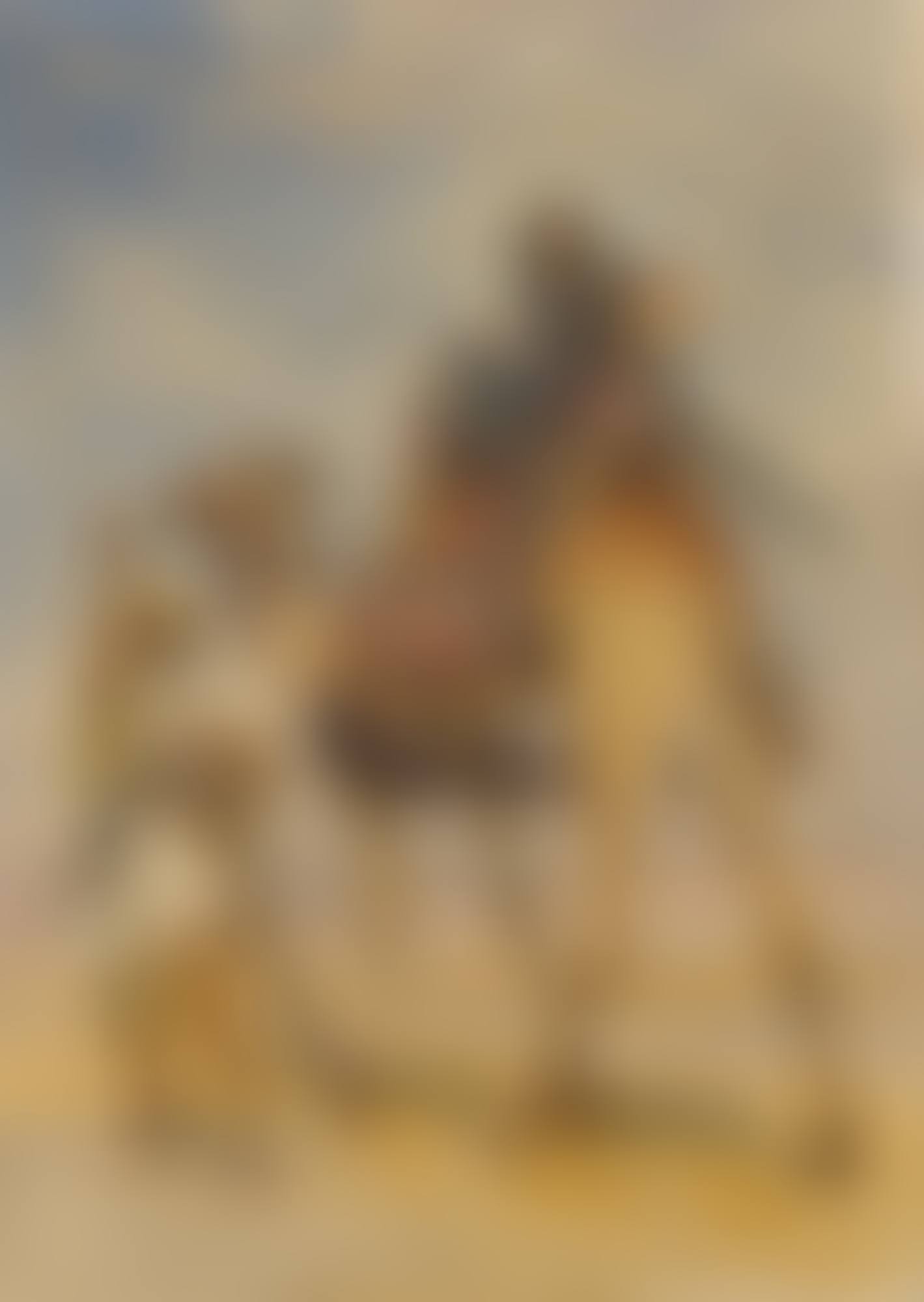 BEDOUIN WOMAN ON A CAMEL (preview)