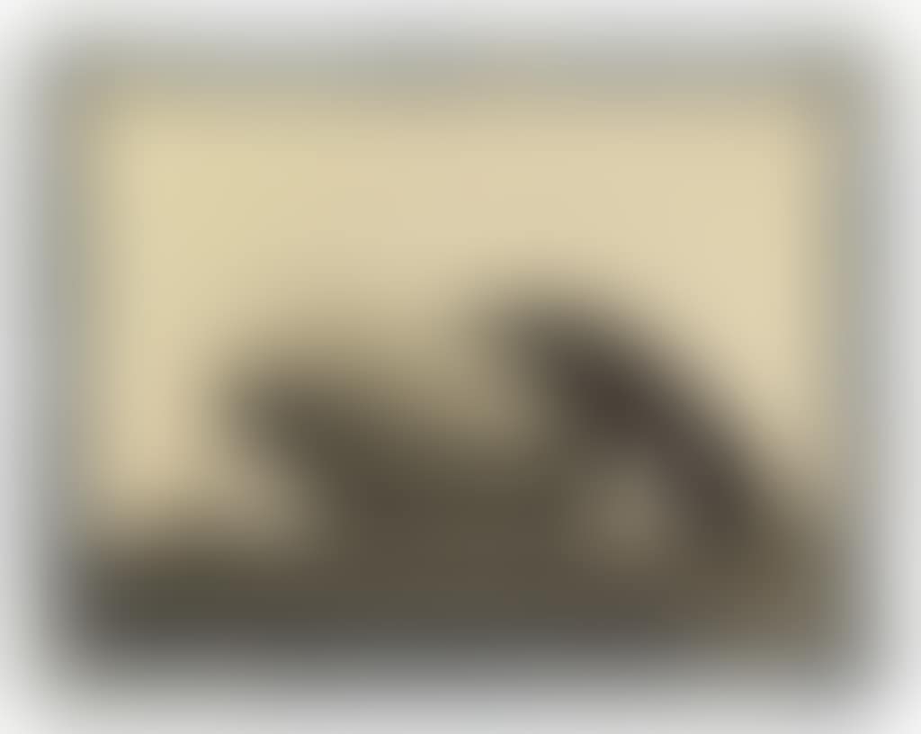 U.S.S. Airship Akron, World's Largest Airship (preview)