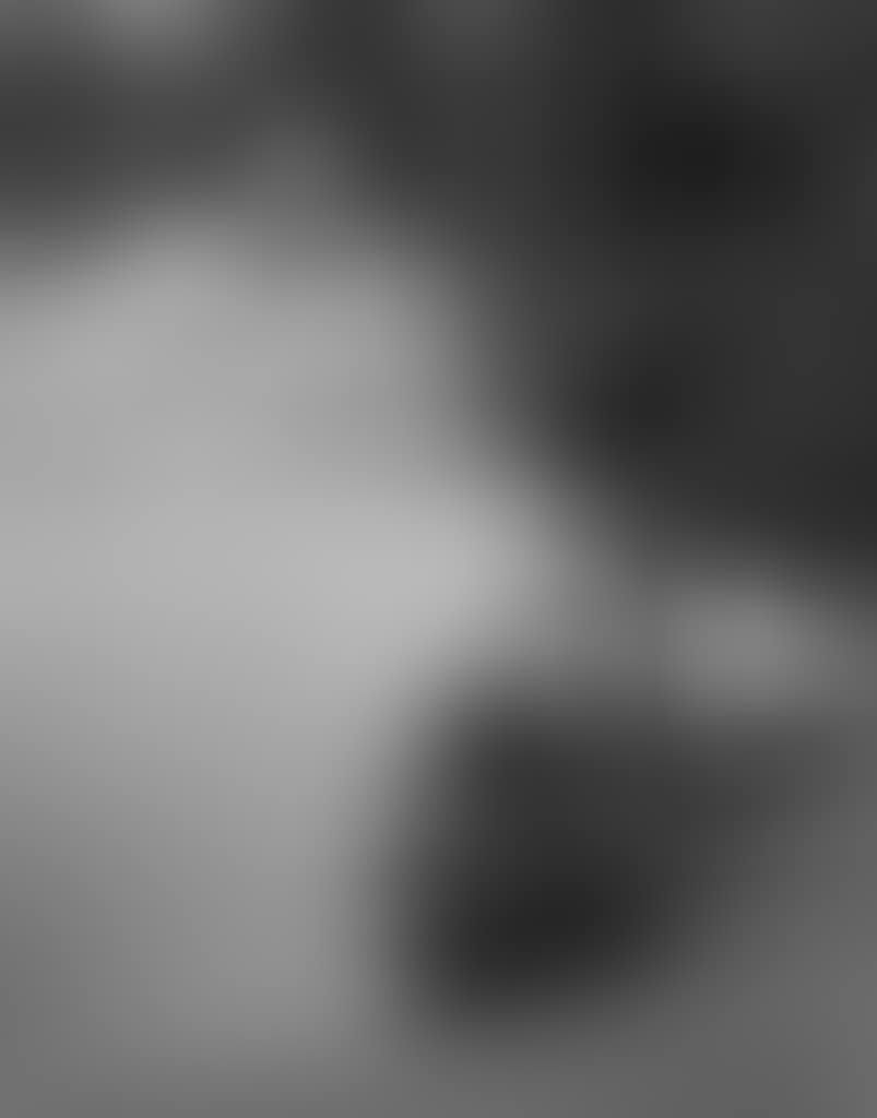 Homing Ship, Central Park, New York (preview)