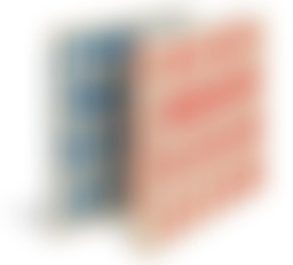 A Box Set Including Evidence 1944-1994 And An Autobiography, Produced To Accompany The 1994 Whitney Museum Retrospective (preview)