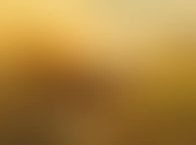 Partridge with Fledglings on the Mountain Pastures (preview)