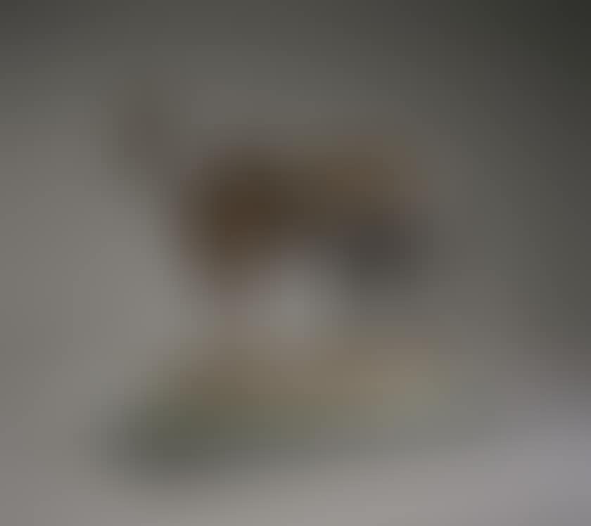 Girl of the Air (preview)