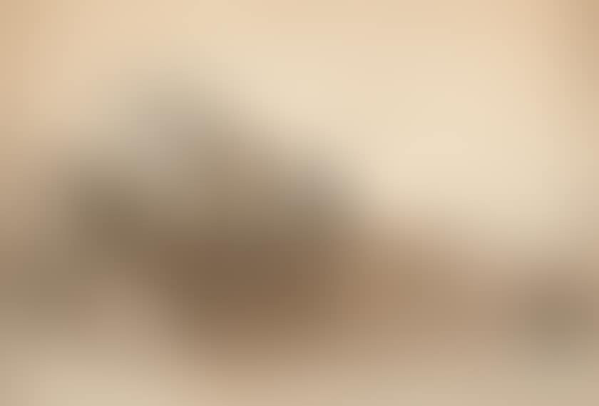 View of a villa in Rome (preview)
