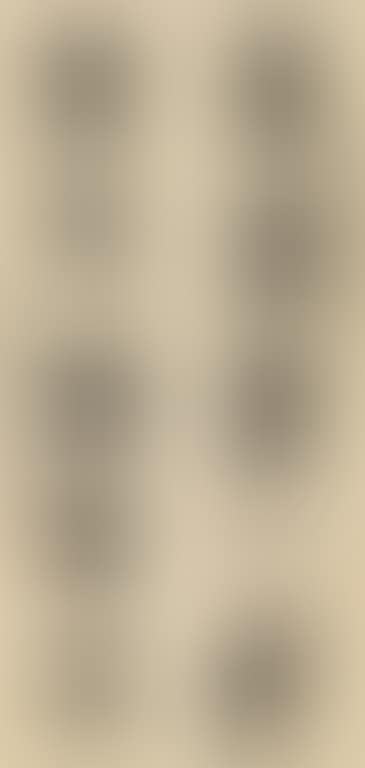 Couplet In Seal Script (preview)