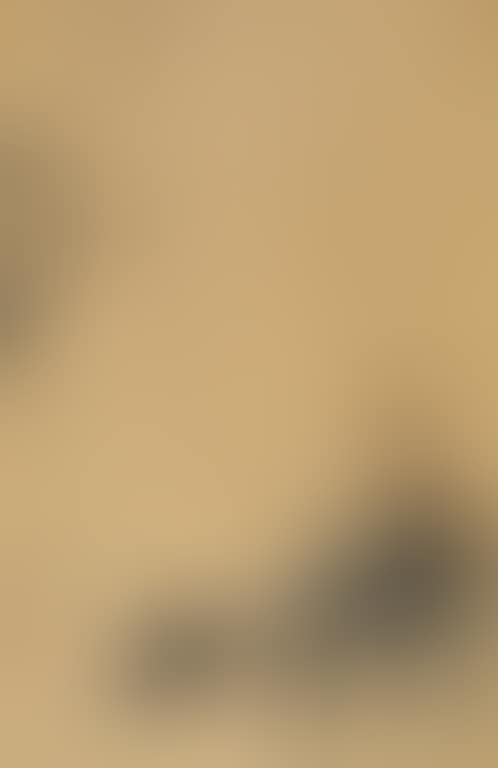 Deligh (preview)