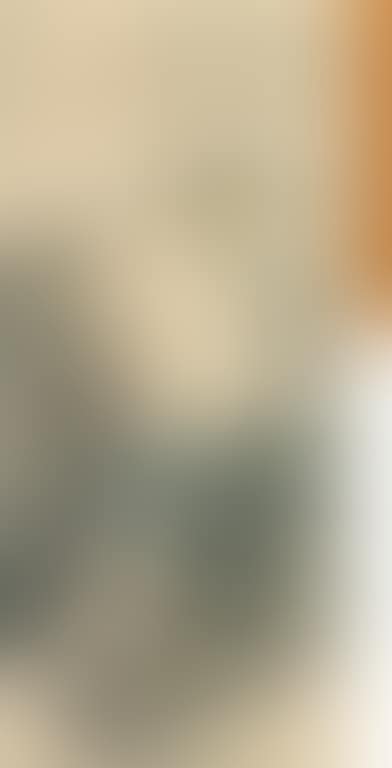 Landscape After Shi Tao (preview)