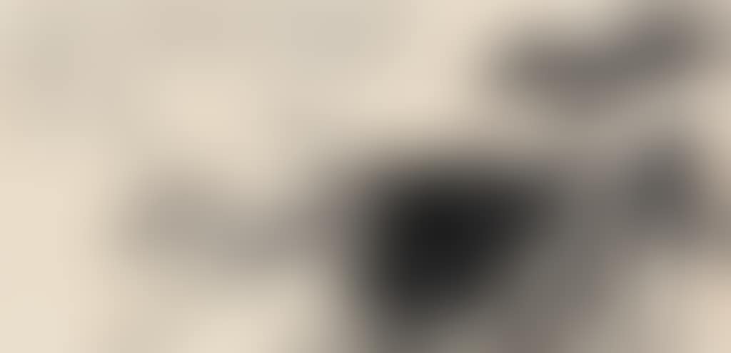 Lotus (preview)