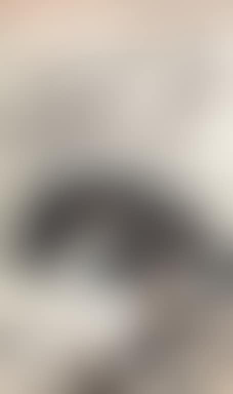Viewing Boat (preview)