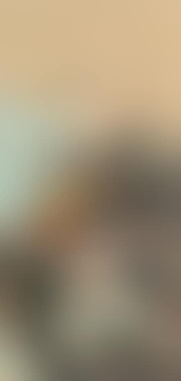 Landscape (preview)