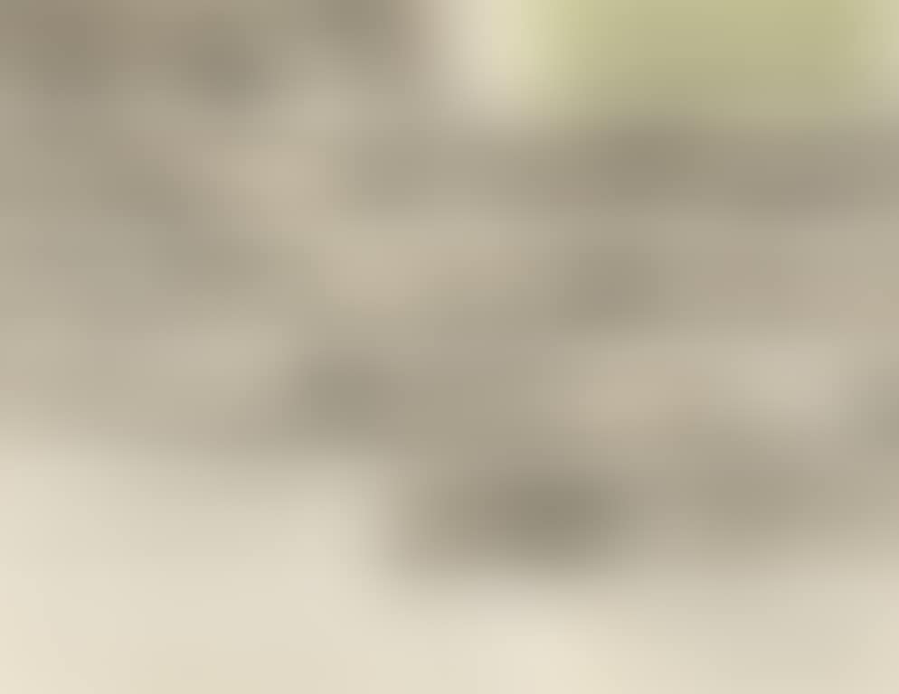 Landscape After Shen Zhou (preview)