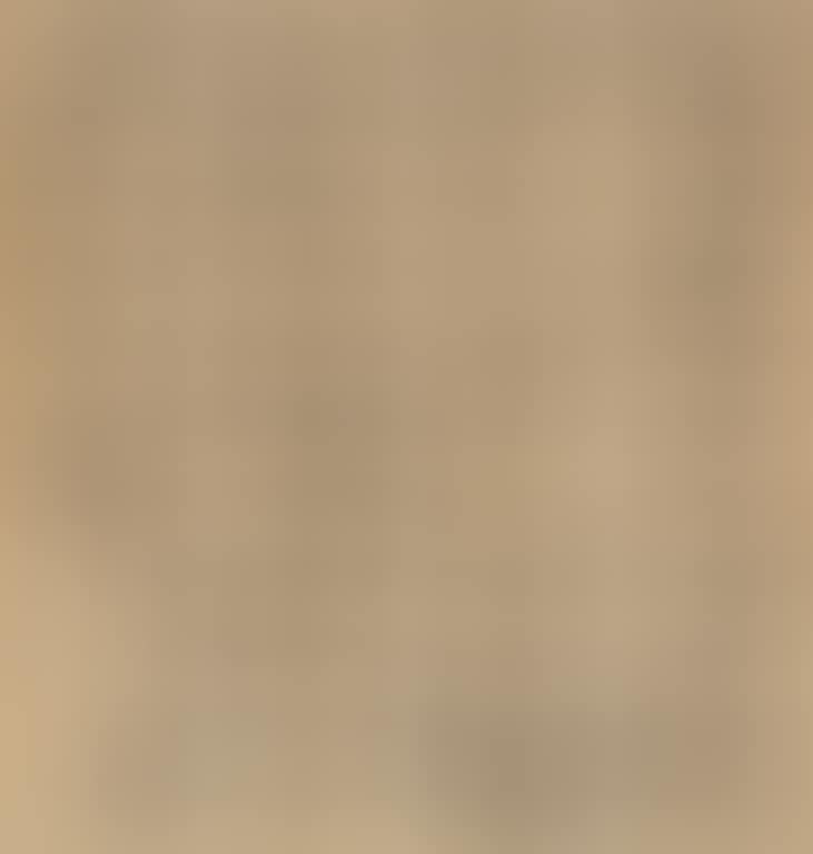 Calligraphy In Seal Script (preview)