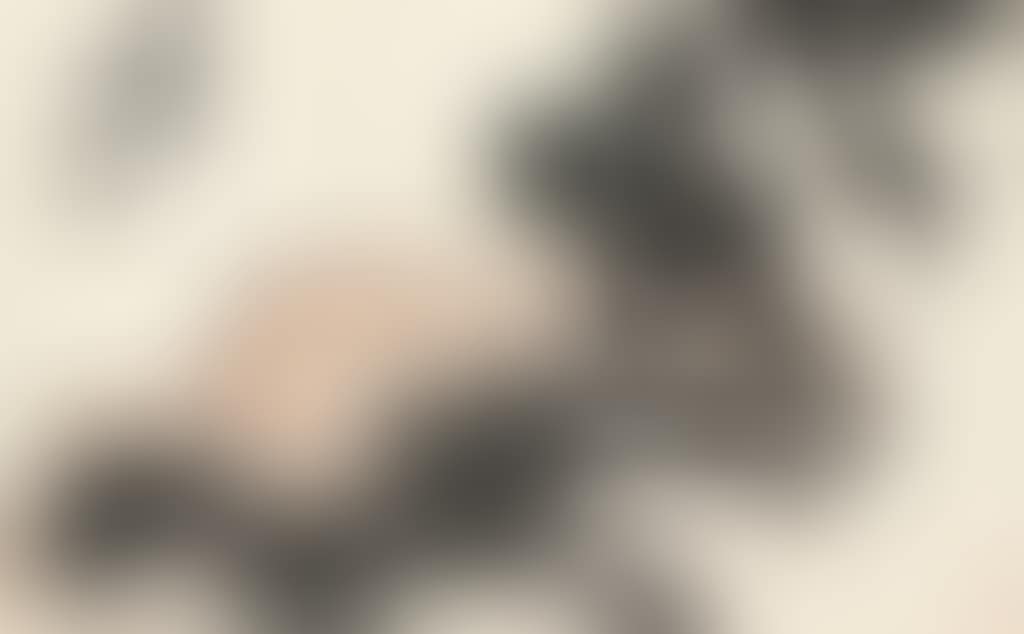 Pine And Rock (preview)