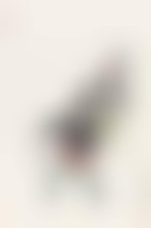 Opera Figure (preview)