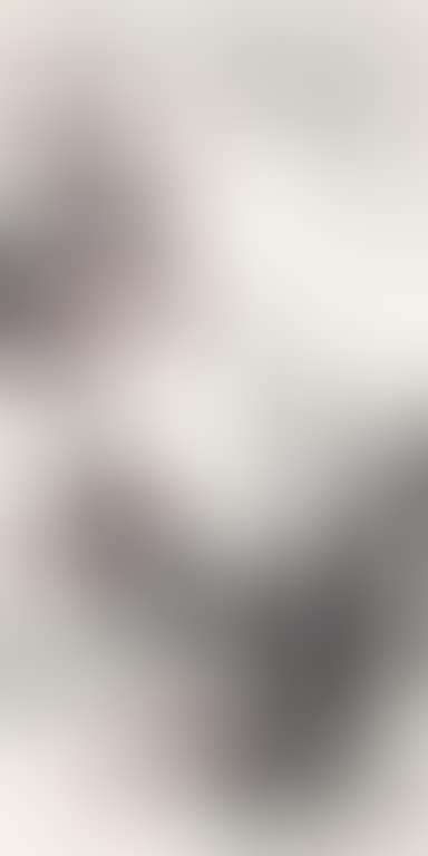 Plum (preview)