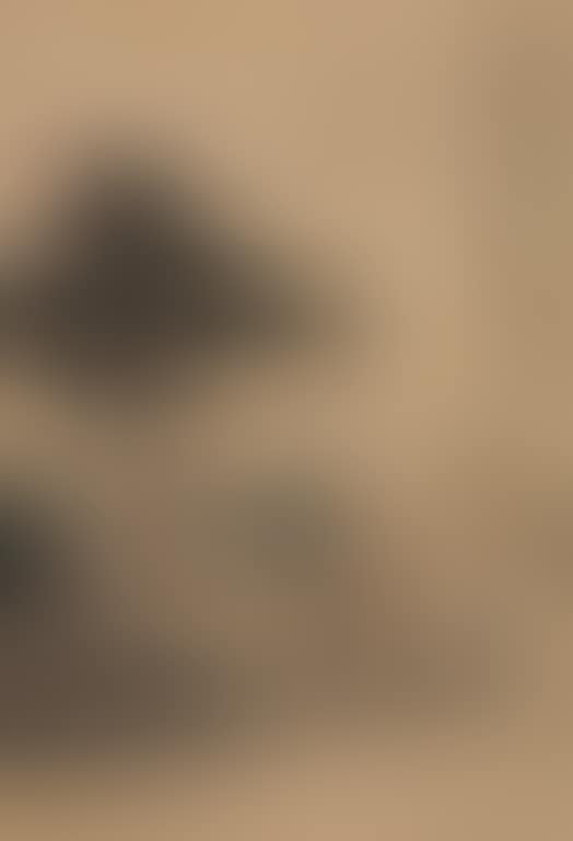 Village (preview)