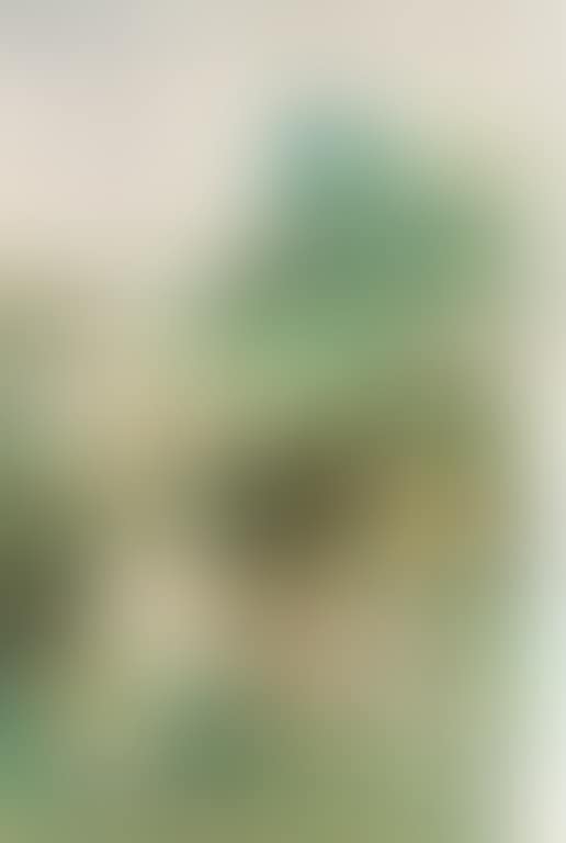 Landscape After Dong Yuan (preview)