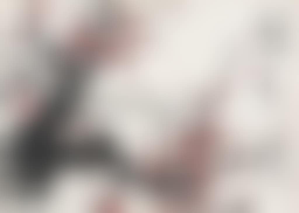 Primula (preview)