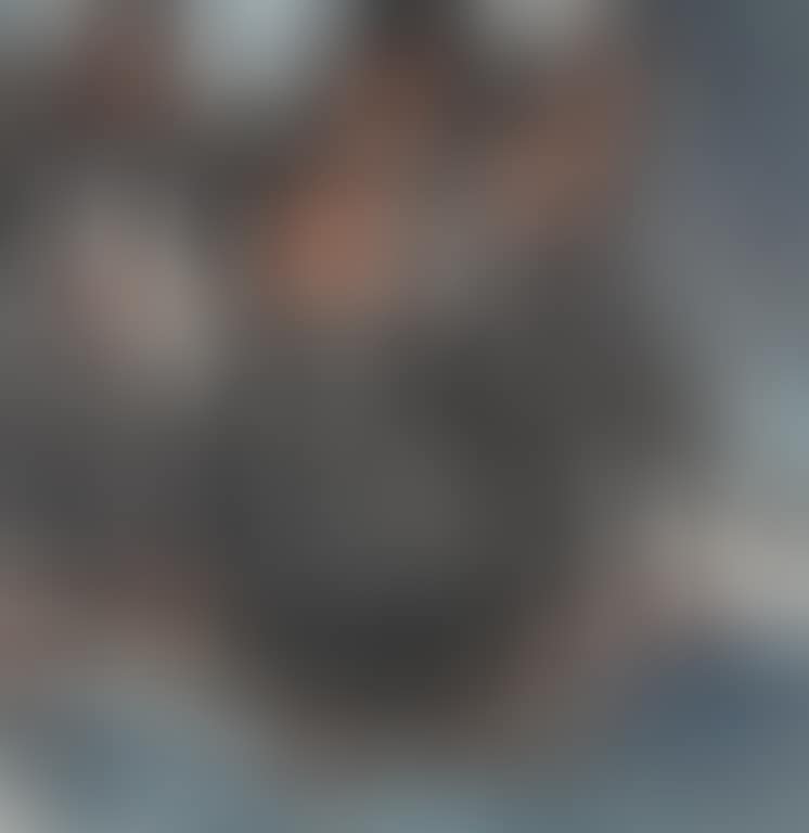 Figure (preview)