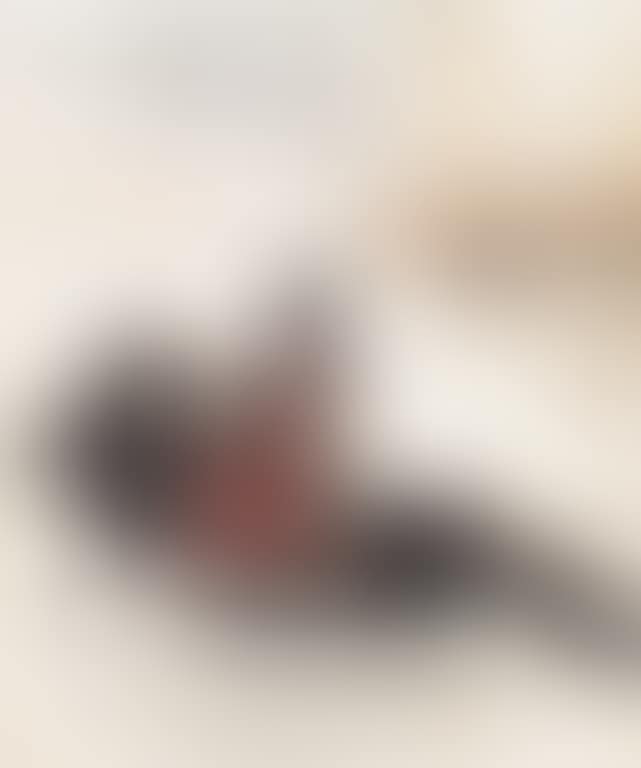 Rider (preview)