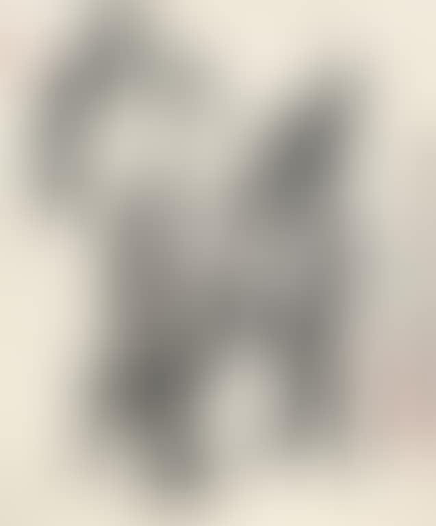 Four donkeys (preview)
