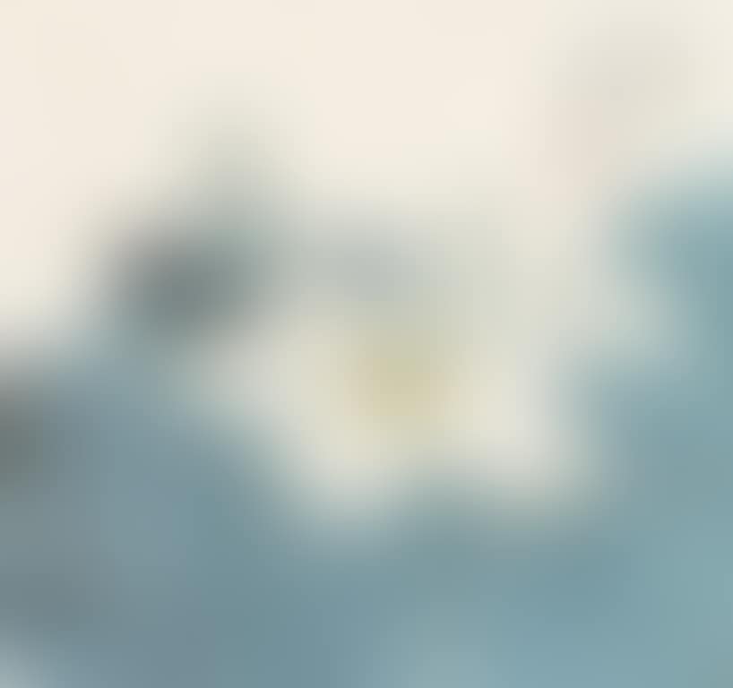 Lotus Pond (preview)