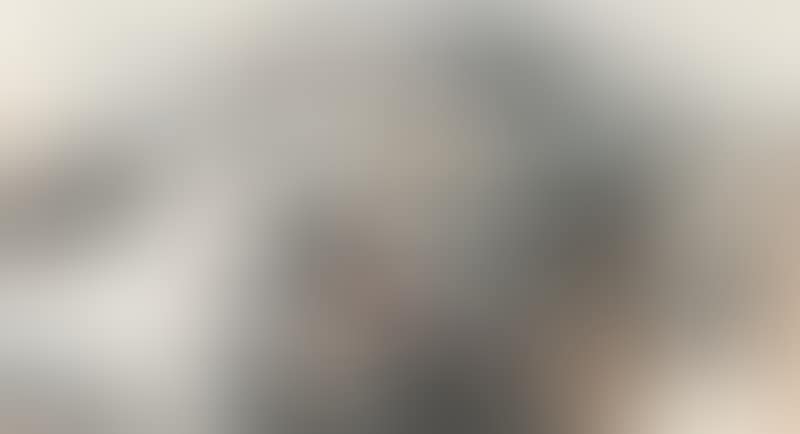 Landscape After Du Fu’s Poem (preview)