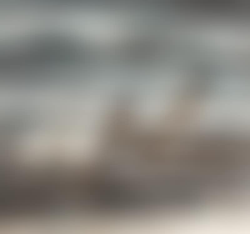 Landscape (preview)