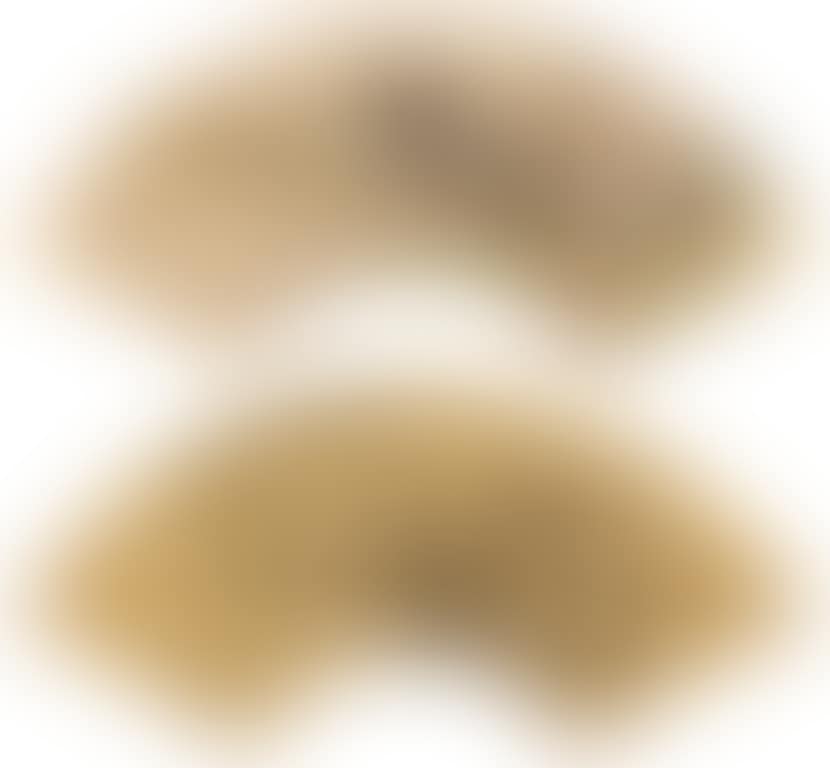 Landscapes (preview)