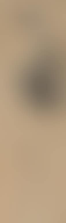 Bamboo Drawing (preview)